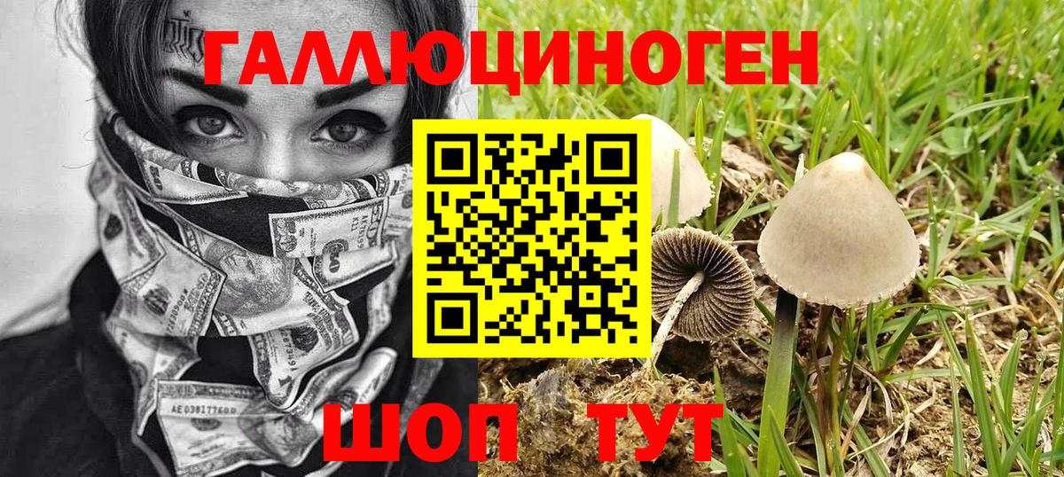 Псилоцибиновые грибы прущие грибы Нягань